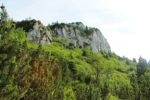 2014-07-05_Laengental-N-Hochweg (656). JPG